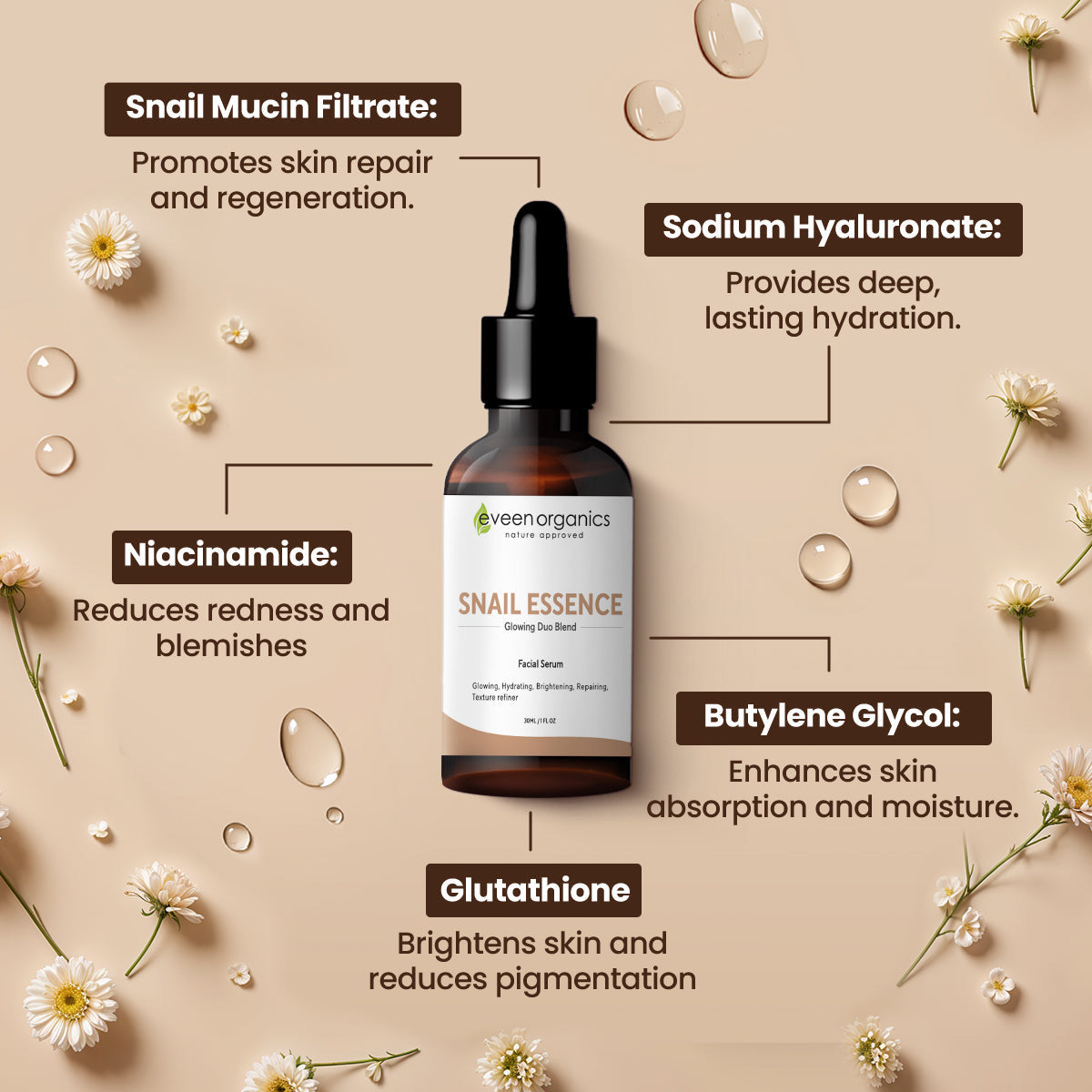 Snail Essence Serum